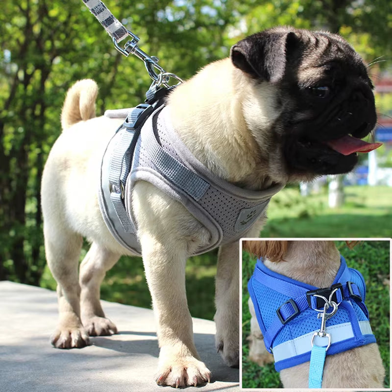 Reflective Cat Harness and Leash Set Nylon Mesh Kitten Puppy Dogs Vest Harness Leads Pet Clothes for Small Dogs Yorkies Pug